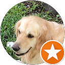 Stew Campbell profile picture